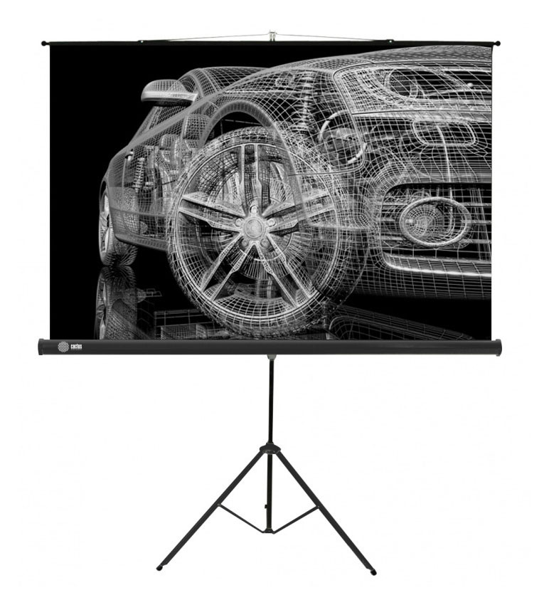 Экран для проектора Cactus 124.5x221см Triscreen CS-PST-124x221 16:9 напольный рулонный черный