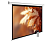 Экран для проектора Cactus 188x300см SIlverMotoExpert CS-PSSME-300X188-WT настенно-потолочный рулонный белый