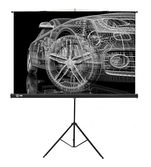 Экран для проектора Cactus 124.5x221см Triscreen CS-PST-124x221 16:9 напольный рулонный черный