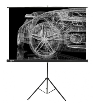 Экран для проектора Cactus 124.5x221см Triscreen CS-PST-124x221 16:9 напольный рулонный черный