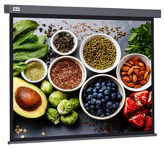 Экран для проектора Cactus 150x150см Wallscreen CS-PSW-150X150-SG 1:1 настенно-потолочный рулонный серый