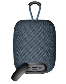 Портативная акустика Canyon CNE-CBTSP8G Grey