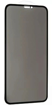 Защитное стекло для смартфона Apple iPhone 12 Pro Max 6.7" - Full Privacy, антишпион