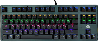 Клавиатура проводная Gembird KB-G540L Rainbow Led Black