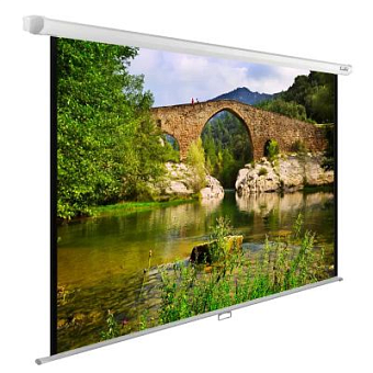 Экран для проектора Cactus 165x220см WallExpert CS-PSWE-220x165-WT 4:3 настенно-потолочный рулонный белый